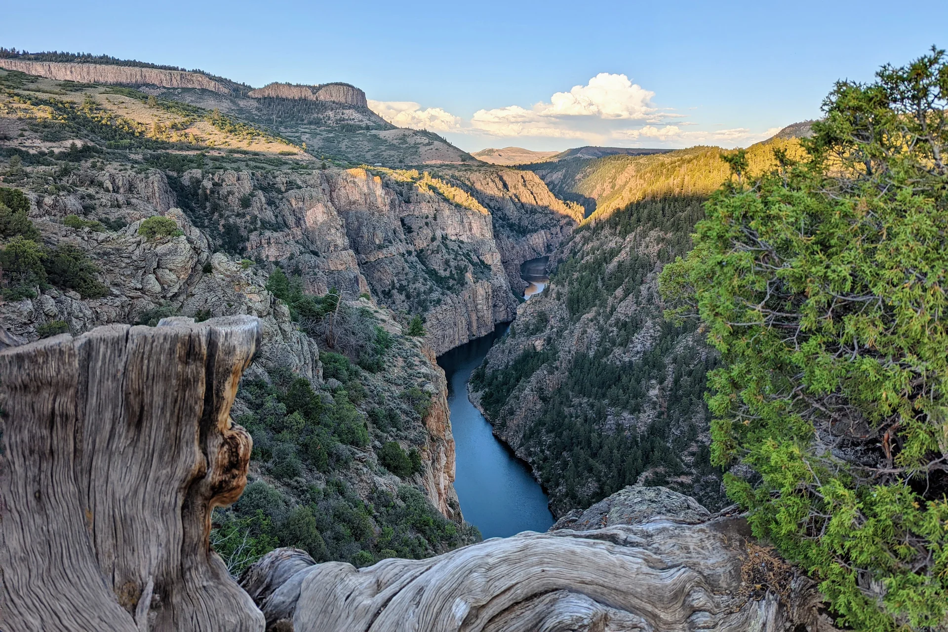 Black Canyon of the Gunnison deep canyon with river at golden hour sunset