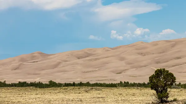 Great Sand Dunes National Park wide view with shrubs in foreground