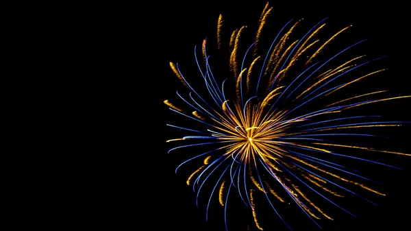 Single firework burst long exposure, blue and gold trails on black