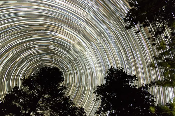 Circular star trails rotating around Polaris above silhouetted pines
