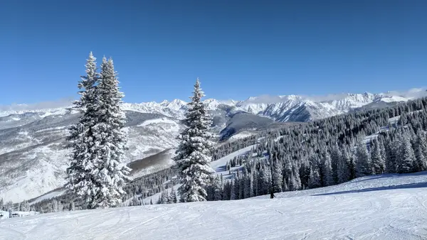 Vail ski slope with snow-dusted pines and mountain panorama
